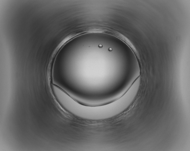 X0000115501195200911131315