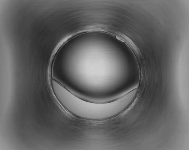 X0000115501196200911131315