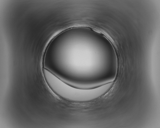 X0000115501197200911131315