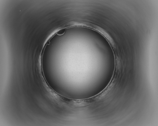 X0000115501198200911131315