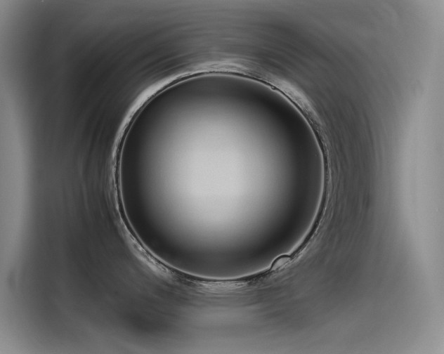 X0000115501200200911131315