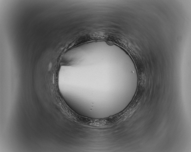 X0000115501201200911131314
