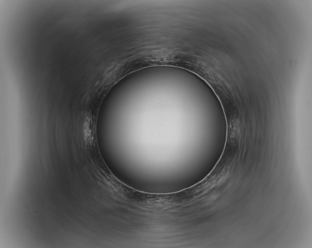 X0000115501202200911131314