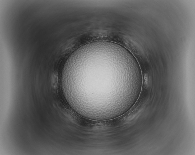 X0000115501203200911131314