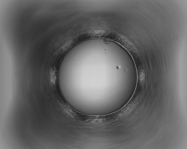 X0000115501204200911131314