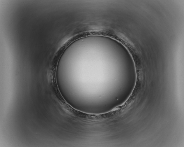 X0000115501208200911131314