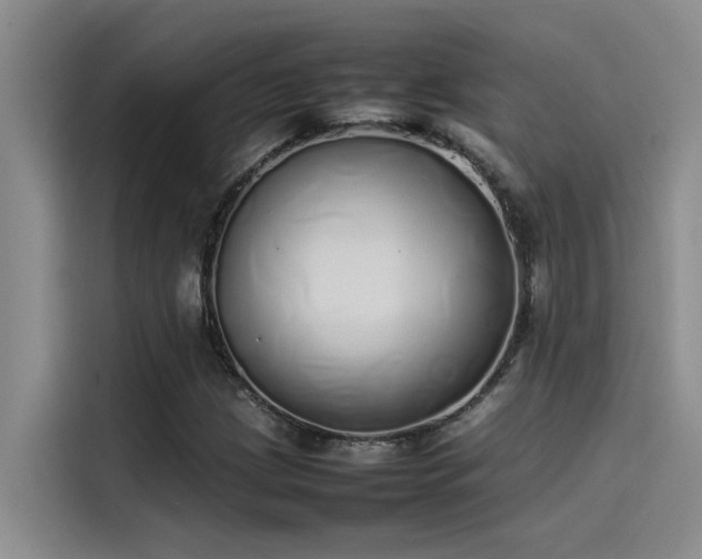 X0000115501209200911131314