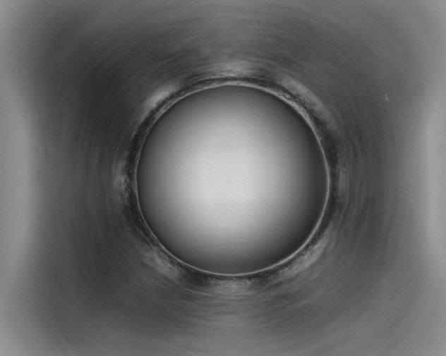 X0000115501210200911131314