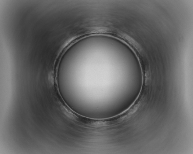 X0000115501212200911131314