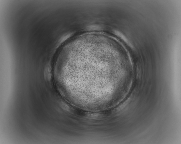X0000115501213200911131314