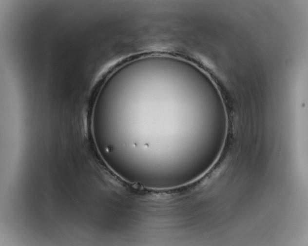 X0000115501214200911131314
