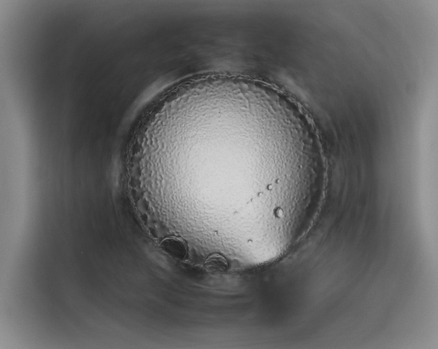 X0000115501215200911131314