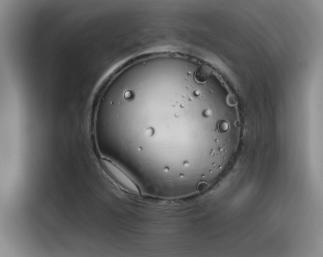 X0000115501216200911131314