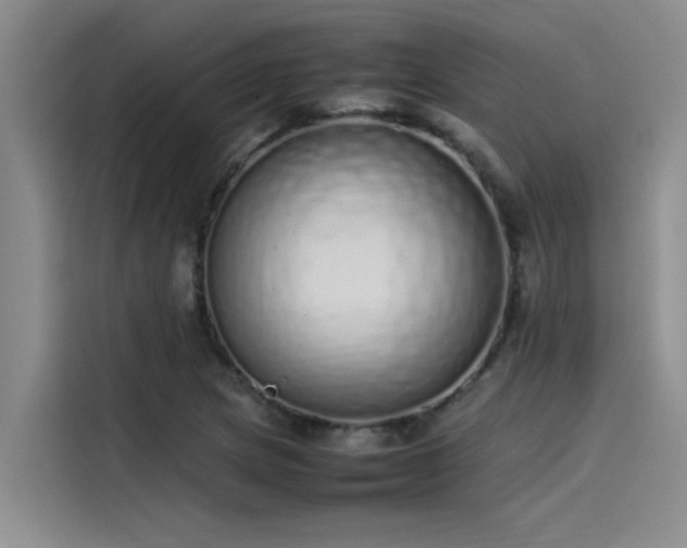 X0000115501217200911131314