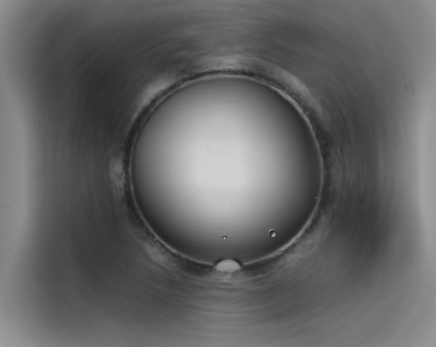 X0000115501218200911131314