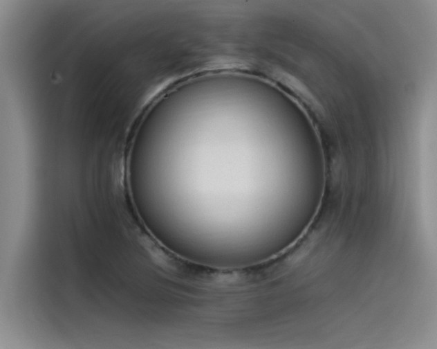 X0000115501220200911131314