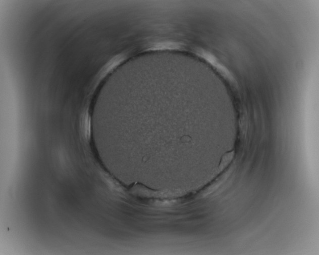 X0000115501221200911131314