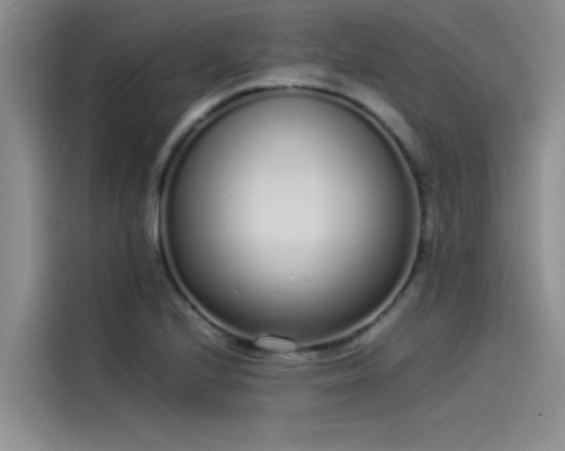 X0000115501224200911131314