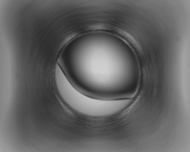 X0000115501225200911131314