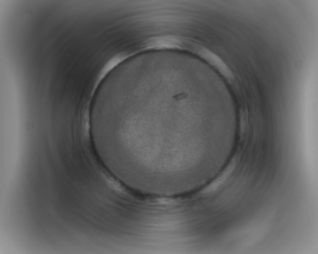 X0000115501226200911131314