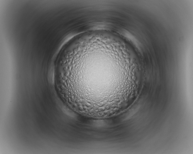 X0000115501227200911131314