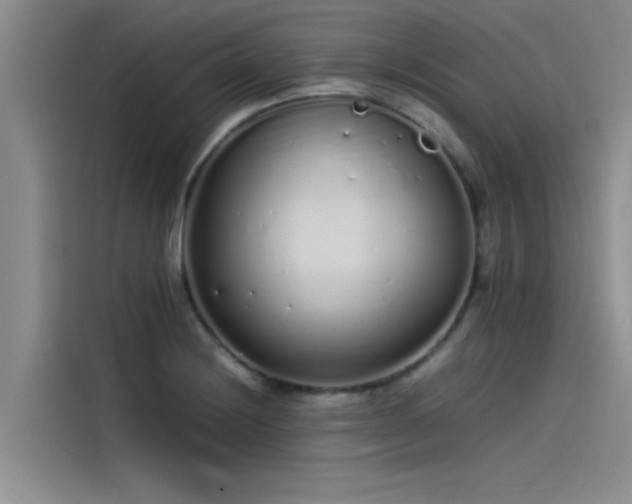 X0000115501228200911131314