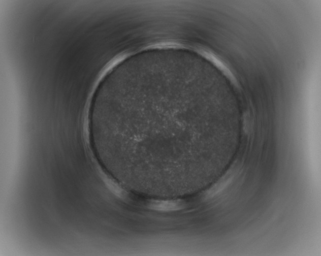 X0000115501229200911131314