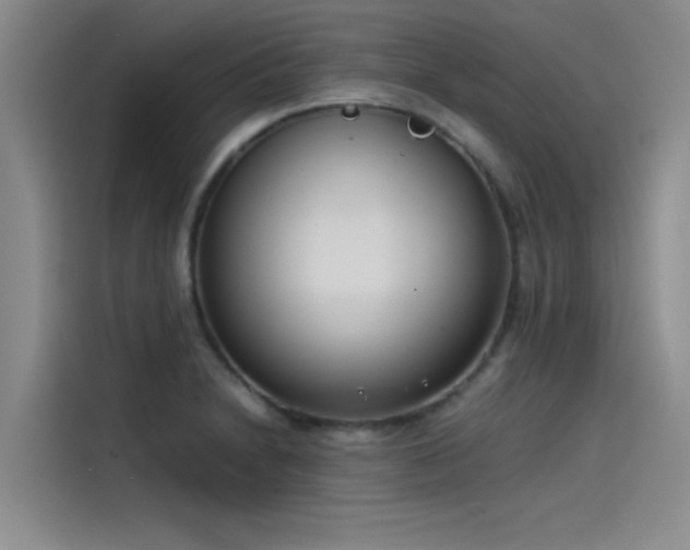 X0000115501230200911131314