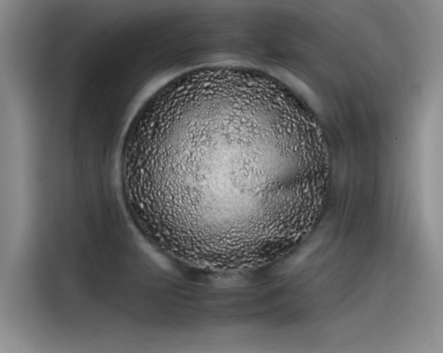 X0000115501231200911131314
