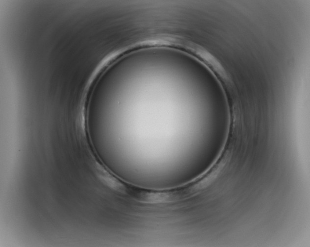 X0000115501232200911131314