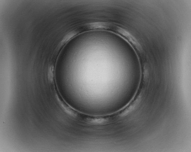 X0000115501233200911131314