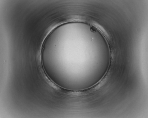 X0000115501236200911131314