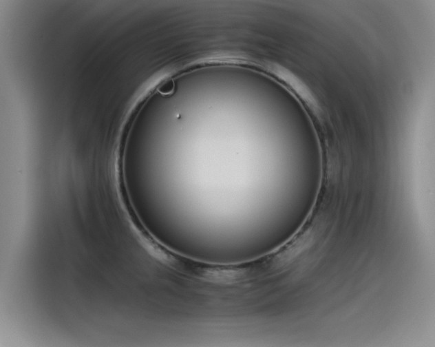 X0000115501237200911131314