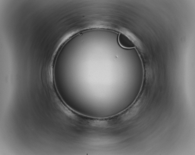 X0000115501238200911131314
