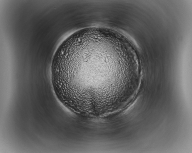 X0000115501239200911131314