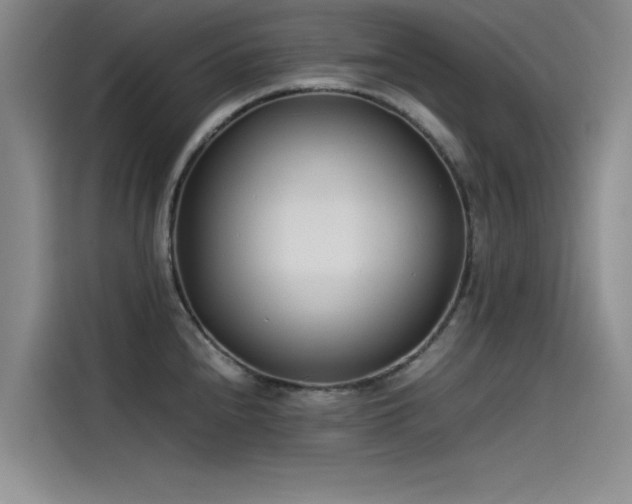 X0000115501240200911131314