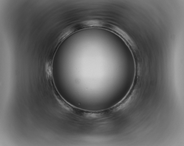 X0000115501241200911131314