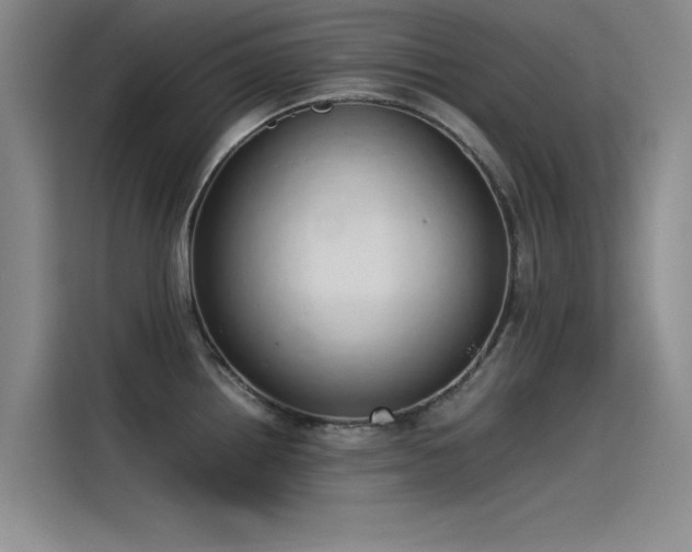 X0000115501242200911131314