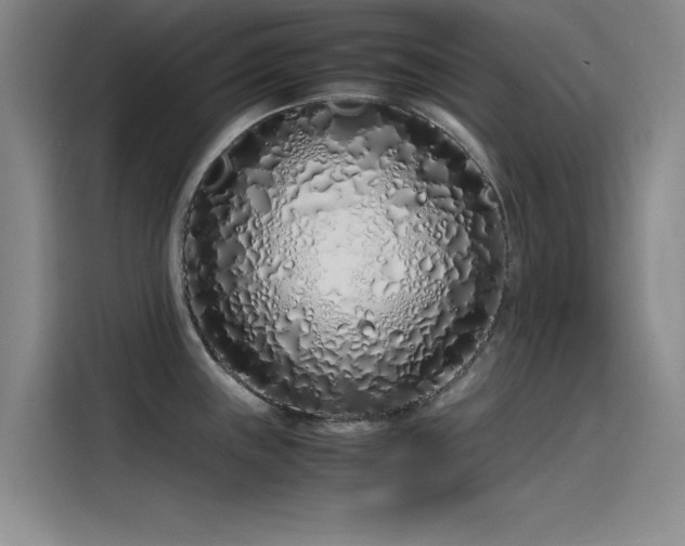 X0000115501243200911131314
