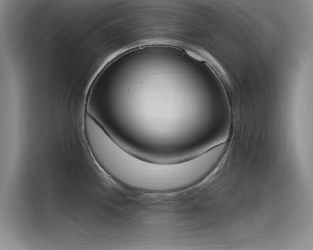 X0000115501244200911131314
