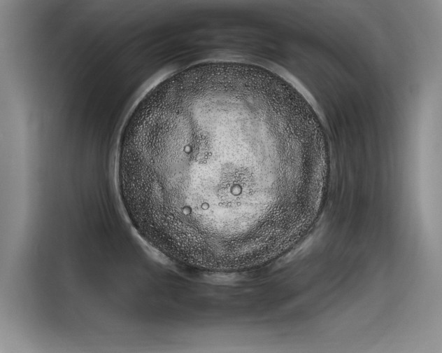 X0000115501245200911131314