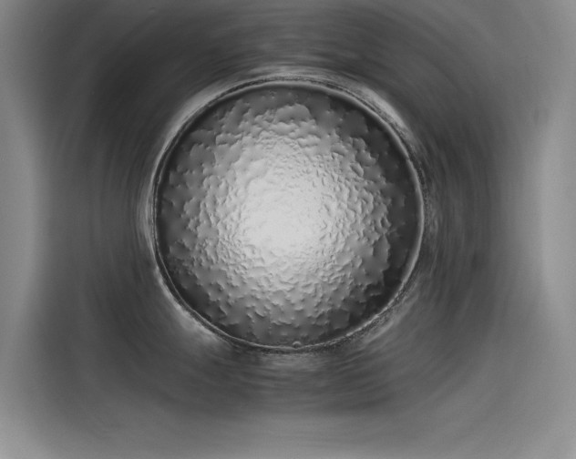X0000115501247200911131315