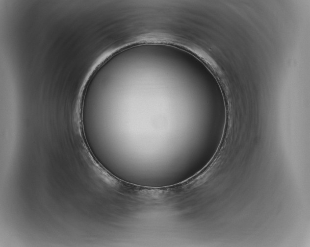 X0000115501248200911131315