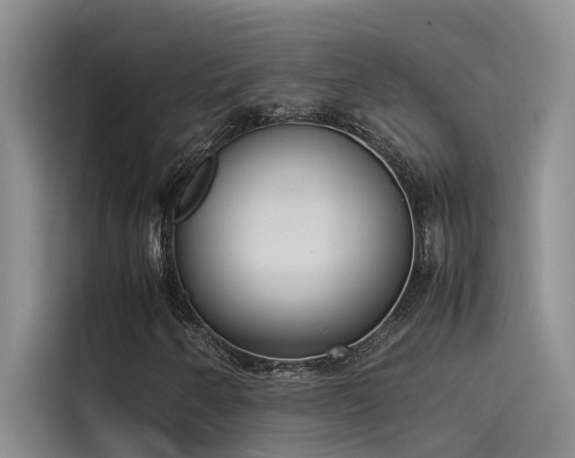 X0000115501250200911131314