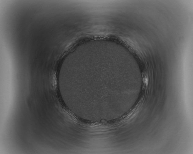 X0000115501252200911131314