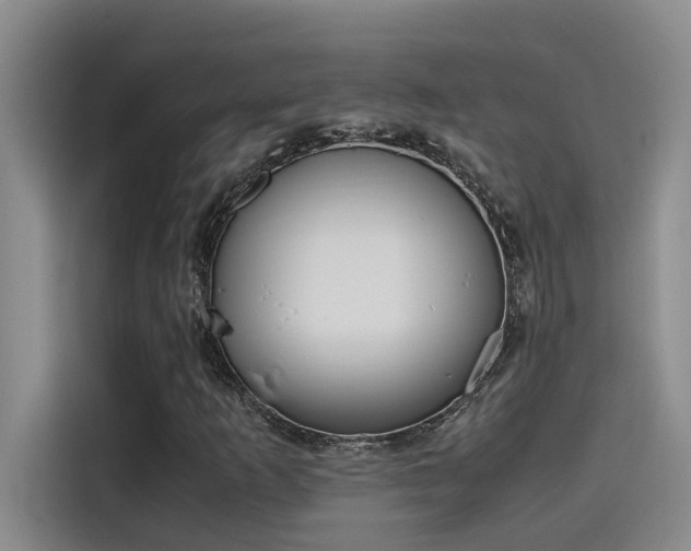 X0000115501253200911131314
