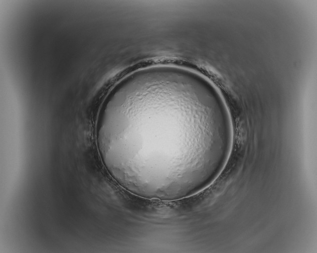 X0000115501255200911131314