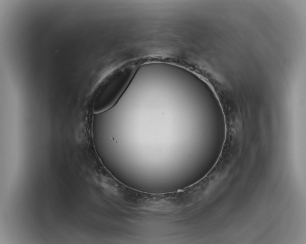 X0000115501256200911131314