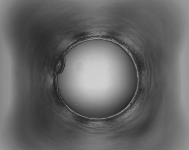 X0000115501257200911131314