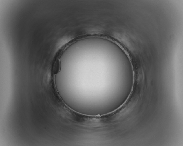 X0000115501261200911131314